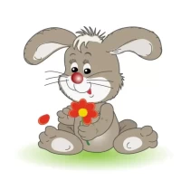 2025年兔运程全解析：生肖兔全年关键节点清单