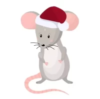 麻将方位选择全攻略：2月29日必赢坐向详解