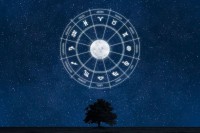 十二星座最新运势今日运势（2025年2月2日星象指南）