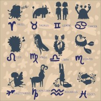 处女座2025年运势（全年运势解析与转运建议）