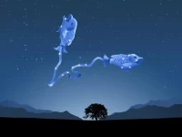 双鱼座今日运势解读：每日运程精准指南