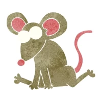 属鼠人今日运势解析：财运提升的关键时刻