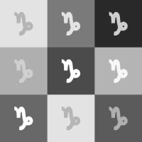 摩羯座今日运势查询：职场达人的运势解析