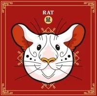 十二生肖每日运势查询：精准预测财运爱情走势