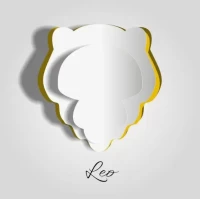 狮子座男今日运势查询全解析：财运爱情双指南