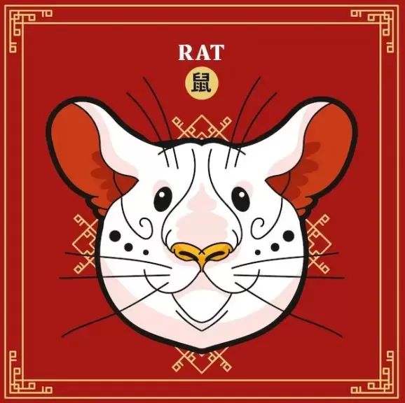 十二生肖每日运势查询：精准预测财运爱情走势