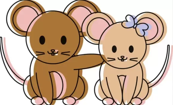 84属鼠今日财运方位指南：吉时解析