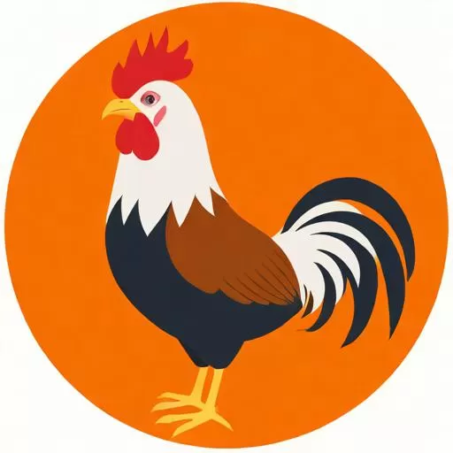 属鸡的年龄表一览表2025，属鸡的年龄表一览表2025